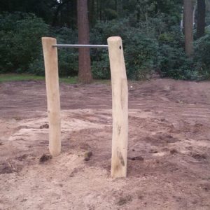 Robinia Duikelrek Mono Openbaar gebruik Turnrek
